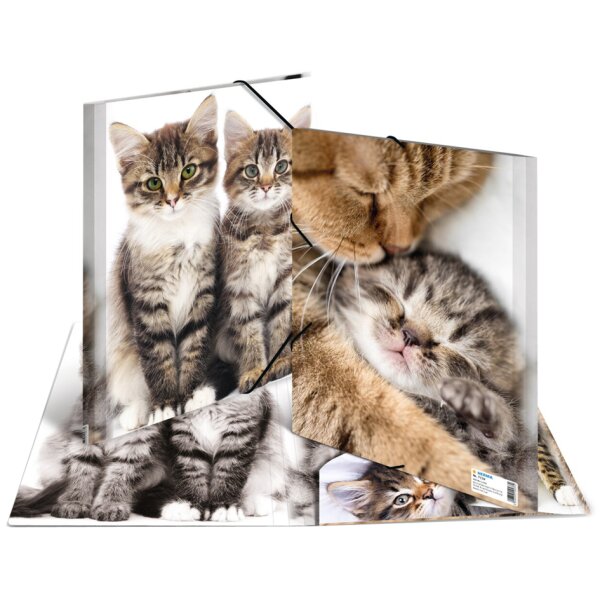 HERMA chemise élastique chats, transparent, en PP, A4,