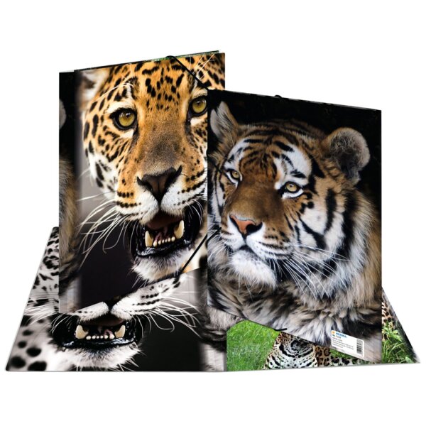 HERMA chemise élastique chats, transparent, en PP, A4,