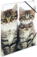 HERMA Eckspannermappe "Katzen", aus PP, DIN A4