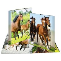 HERMA Eckspannermappe "Katzen", aus PP, DIN A3