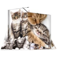HERMA Eckspannermappe "Katzen", aus PP, DIN A3