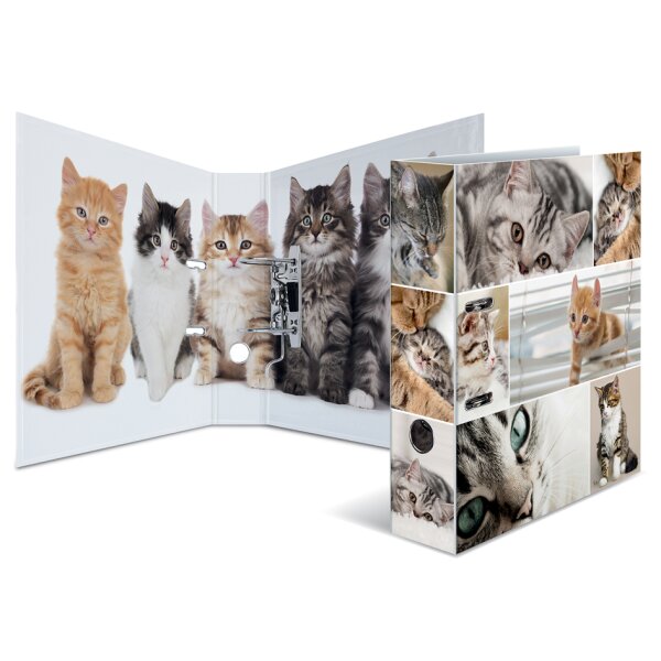 HERMA Motivordner "Animals", DIN A4, Delfine