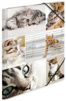 HERMA Chemise à élastiques chats, en carton,