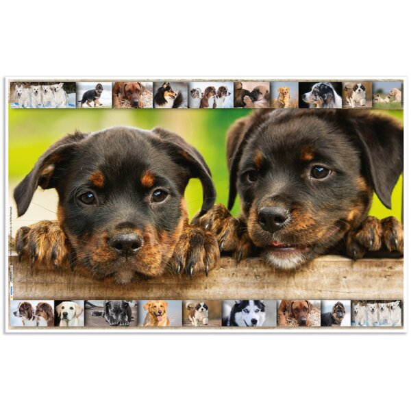 HERMA Sous-main Chiens, (L)550 x (H)350 mm