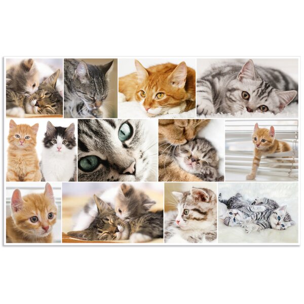 HERMA Schreibunterlage "Katzen", (B)550 x (H)350 mm