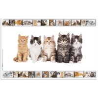 HERMA Sous-main Chats, (L)550 x (H)350 mm