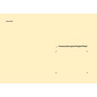 RNK Verlag Zustellungsumschlag, 235 x 125 mm, ohne Fenster