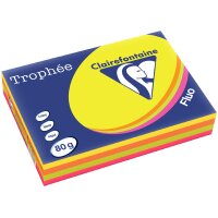 Clairefontaine Multifunktionspapier Trophée, A4, sortiert