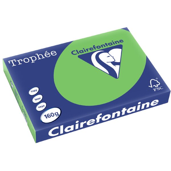 Clairefontaine Multifunktionspapier Trophée, A3, hellgrün