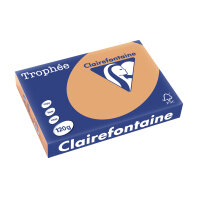 Clairefontaine Papier universel Trophée A4, camel
