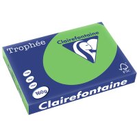 Clairefontaine Multifunktionspapier, DIN A3, lachs