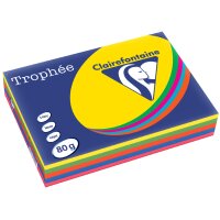 Clairefontaine Multifunktionspapier Trophée, A4, sortiert