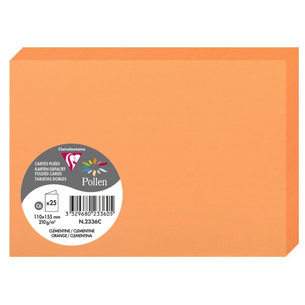 Pollen by Clairefontaine Carte double C6, argent