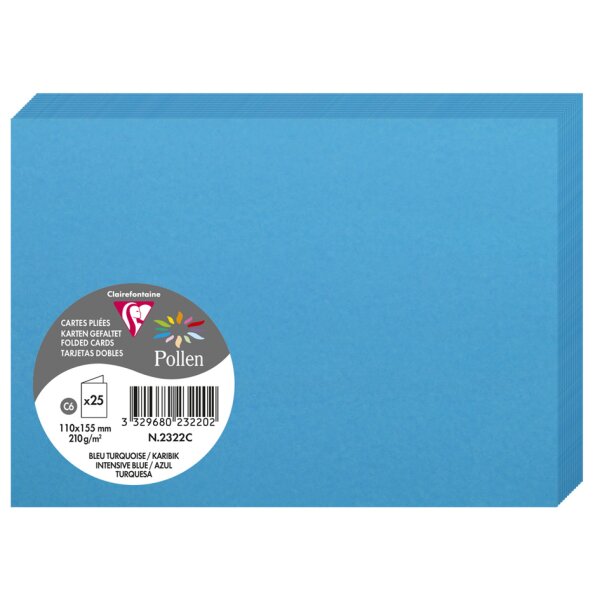Pollen by Clairefontaine Carte double C6, vert menthe