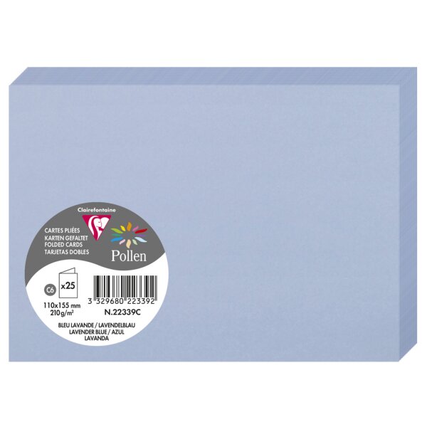 Pollen by Clairefontaine Carte double C6, vert menthe