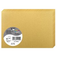Pollen by Clairefontaine Carte double C6, gris koala