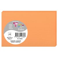 Pollen by Clairefontaine Carte 82 x 128 mm, vert bourgeon