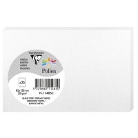 Pollen by Clairefontaine Carte 82 x 128 mm, blanc...