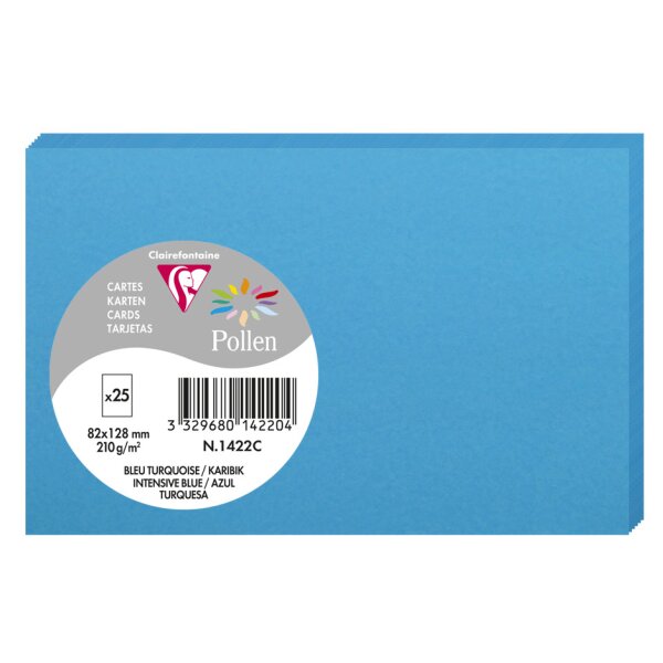 Pollen by Clairefontaine Carte 82 x 128 mm, gris perle