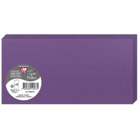 Pollen by Clairefontaine Carte double DL, vert bourgeon