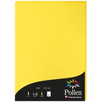 Pollen by Clairefontaine Papier DIN A4, perlmutt-elfenbein