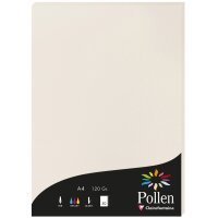 Pollen by Clairefontaine Papier DIN A4, clementine