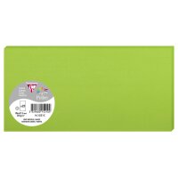 Pollen by Clairefontaine Carte DL, vert menthe