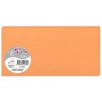 Pollen by Clairefontaine Karte DL, minze
