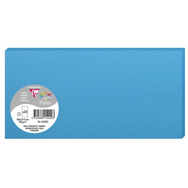 Pollen by Clairefontaine Carte DL, gris perle