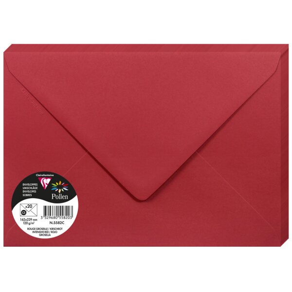 Pollen by Clairefontaine Enveloppes C5, vert menthe