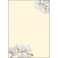 sigel Papier à motif, A4, 90 g/m2, motif Flowerstyle