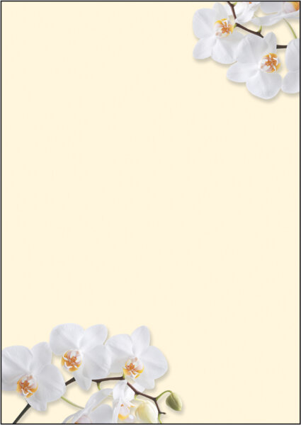 sigel Design-Papier, DIN A4, 90 g qm, Motiv "White Orchid"