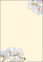 sigel Papier à motif, A4, 90 g/m2, motif White Orchid