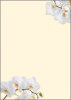 sigel Papier à motif, A4, 90 g/m2, motif White Orchid