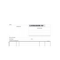 EXACOMPTA Formularbuch "Livraison", 210 x 180 mm