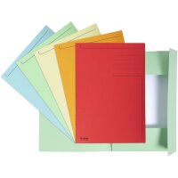 EXACOMPTA Aktenmappe, DIN A4, Karton, pastellgrün