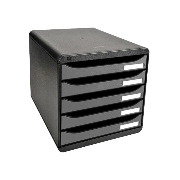 EXACOMPTA Schubladenbox BIG-BOX PLUS, 5 Schübe, silber