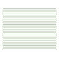 EXACOMPTA Papier listing en continu, 380 mm x 11 (27,94 cm)