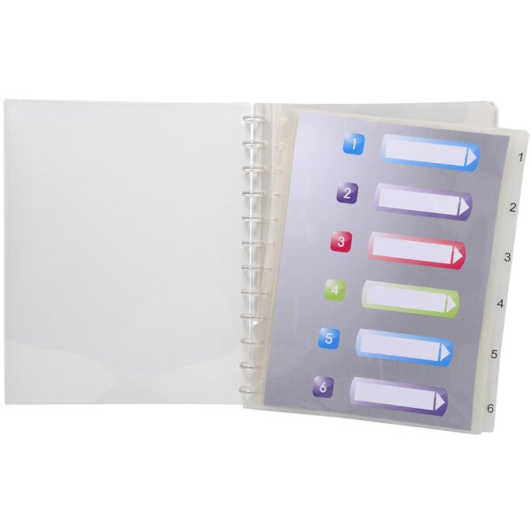 EXACOMPTA Sichtbuch DIN A4, 30 Hüllen, kristallklar