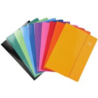 EXACOMPTA Pochette document à soufflet Iderama,...