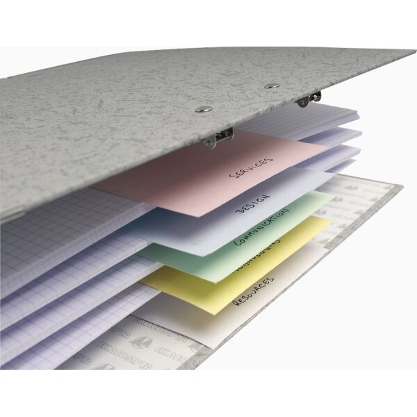 EXACOMPTA Trennstreifen Premium, 105 x 240 mm, gr&uuml;n