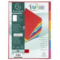 EXACOMPTA Karton-Register, DIN A4+, 12-teilig