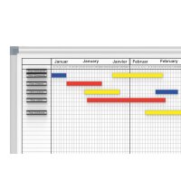 MAUL Tableau de planning annuel 14 mois, (L)1500 x (H)1000mm