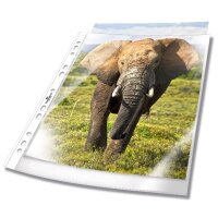 DURABLE Pochette perforée, A4, PP, 0,050 mm,...