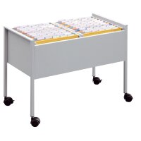 DURABLE Chariot pour dossiers suspendus Economy 100 DUO