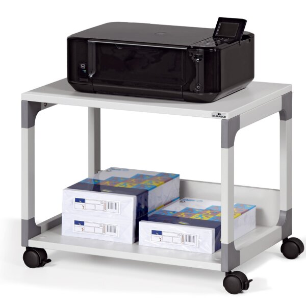 DURABLE Bürowagen SYSTEM Multi Trolley 48, 2 Böden, grau