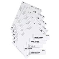 DURABLE Einsteckschilder INFO SIGN REFILL für Türschild