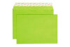 ELCO Enveloppe Color s/fenêtre C5 24084.62 100g, vert 250 pcs.
