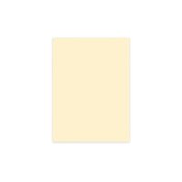 ELCO Büropapier Color A4 74616.41 80g, hellchamois...