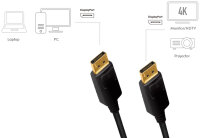 LogiLink Câble de connexion DisplayPort, noir, 5,0 m